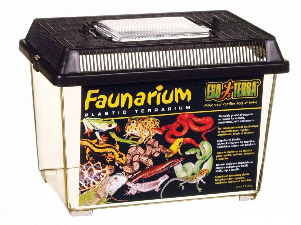 Petite boîte de transport de tortue en voiture 23 cm Exo Terra Faunarium