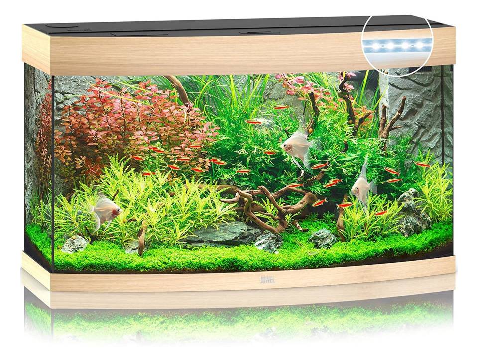 Aquarium tortue aquatique couleur bois clair 180 litres Juwel